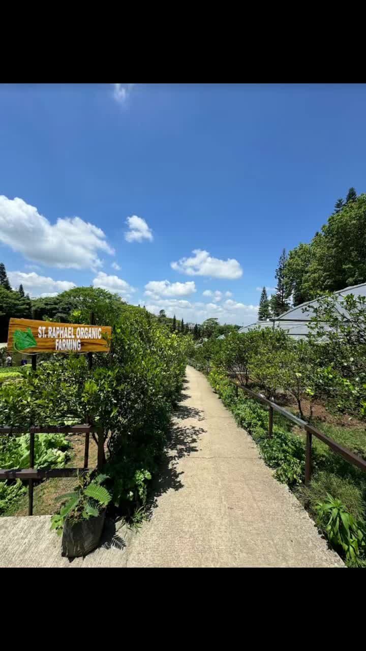 Instagram post from st.elmosdairy. This post is in position 1.