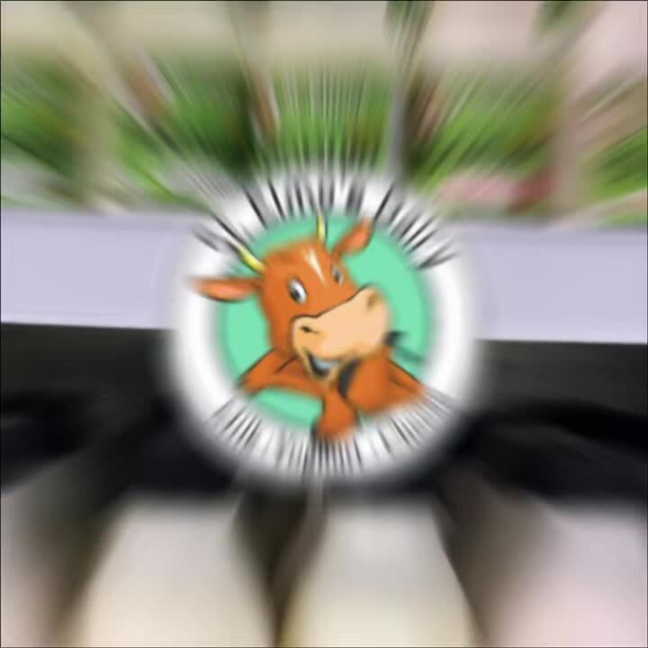 Instagram post from st.elmosdairy. This post is in position 5.